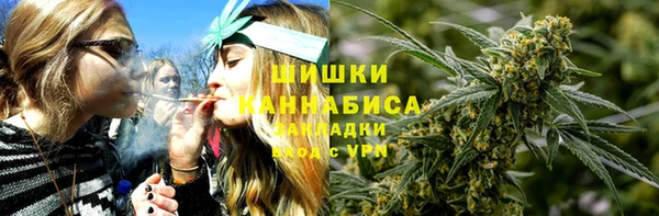 Альфа ПВП Белокуриха