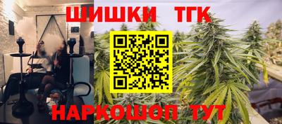 индика Гагарин