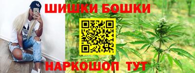 гидра Гай