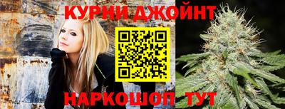 гидра Гай