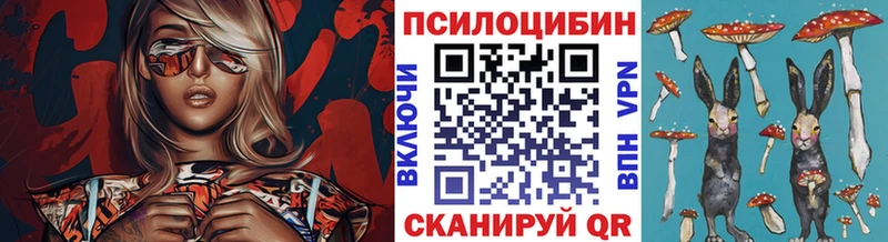 ссылка на мегу маркетплейс  Мурманск  Галлюциногенные грибы GOLDEN TEACHER 
