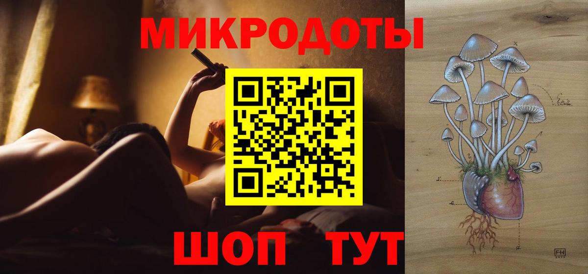 Псилоцибиновые грибы мицелий Мурманск